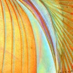 PAINTINGS & DRAWINGS 19