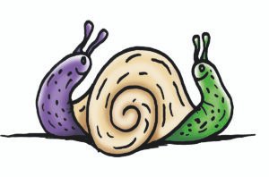 WOEKSHOPS & CURSUS 1